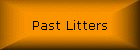 Past Litters